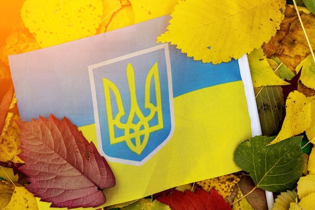 La bandera nacional de ucrania contra el fondo del follaje otoñal El comienzo del otoño en ucrania