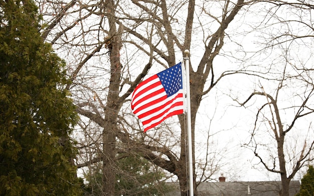 Una bandera ondeando en el viento