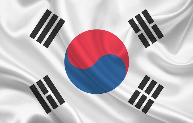 Bandera del país de Corea del sur en el panorama de fondo de tela de seda ondulada - ilustración