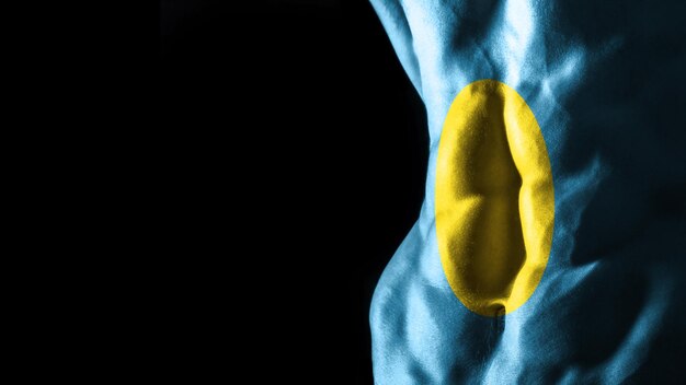 Bandera de Palau en el entrenamiento del deporte nacional de los músculos abdominales, concepto de culturismo, fondo negro