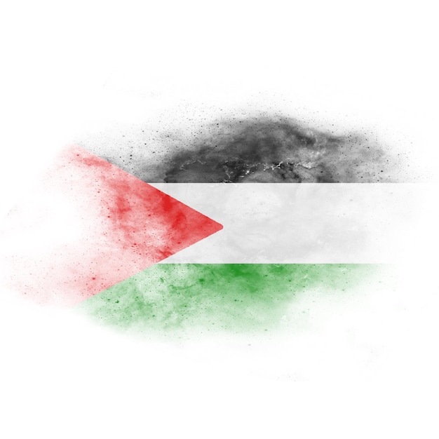 Foto la bandera de palestina en el pincel