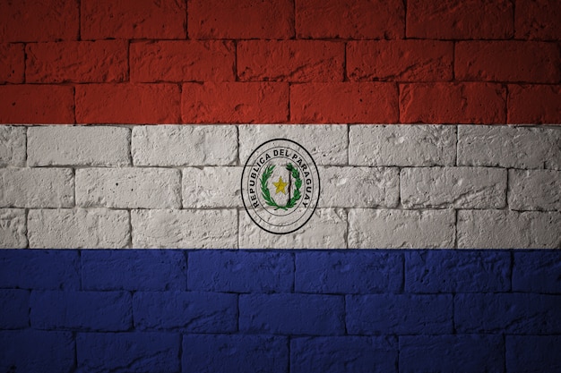 Bandera con proporciones originales. Primer plano de la bandera del grunge de Paraguay