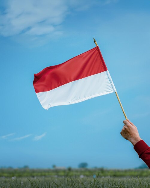 Bandera roja y blanca de Indonesia celebrada en mano con campo escénico en segundo plano.