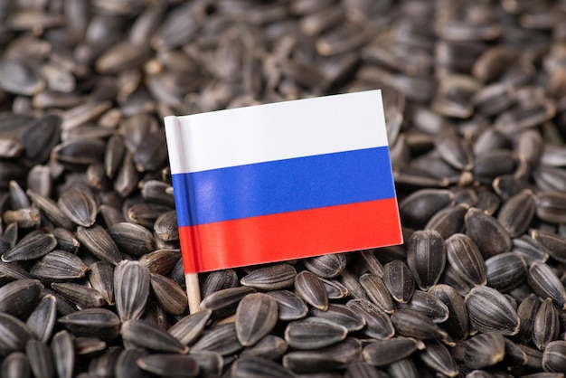 Bandera de Rusia en semillas de girasol
