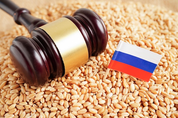Bandera de Rusia sobre el concepto de economía y exportación del comercio de trigo en grano