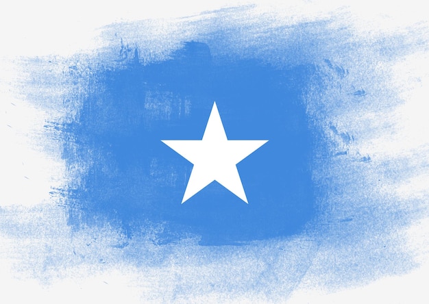 bandera, de, somalia, pintado, con, cepillo