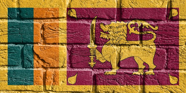 Bandera de Sri Lanka en la pared