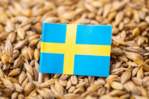 Bandera de Suecia en grano de cebada