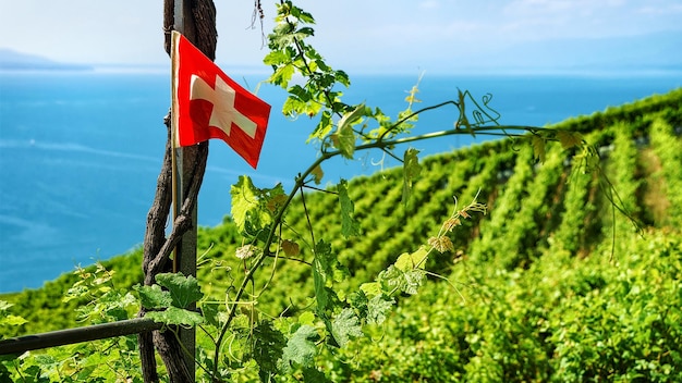 Bandera suiza en la ruta de senderismo Vineyard Terraces de Lavaux, el lago de Ginebra y las montañas suizas, distrito de Lavaux-Oron en Suiza