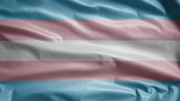 Bandera de transexualidad ondeando en el viento. Cierre de plantilla transexual soplado, seda suave y lisa. Fondo de la bandera de la textura de la tela del paño. Úselo para el día del orgullo gay y el concepto de eventos.