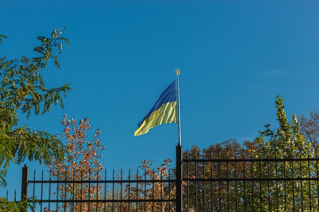 Bandera ucraniana contra el cielo azul