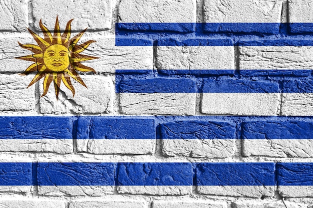 Bandera de Uruguay en la pared