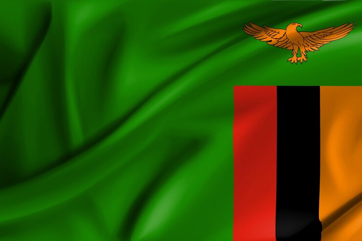 Bandera de Zambia modelo 3d