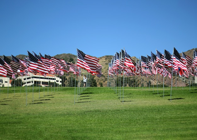 Banderas americanas, patriotismo