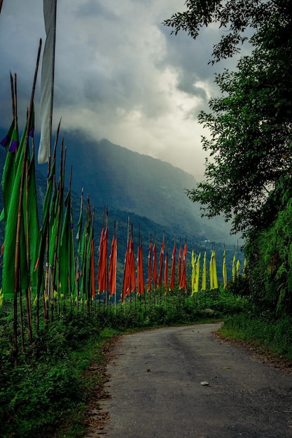 Banderas de colores en postes junto a una carretera