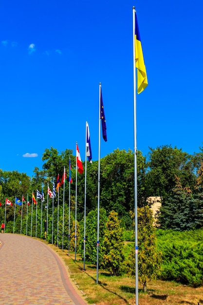 Banderas de diferentes países en mástiles altos en el parque