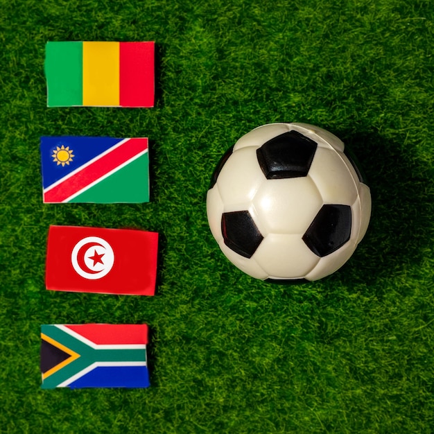 Banderas de los equipos participantes copa africana de naciones 2024