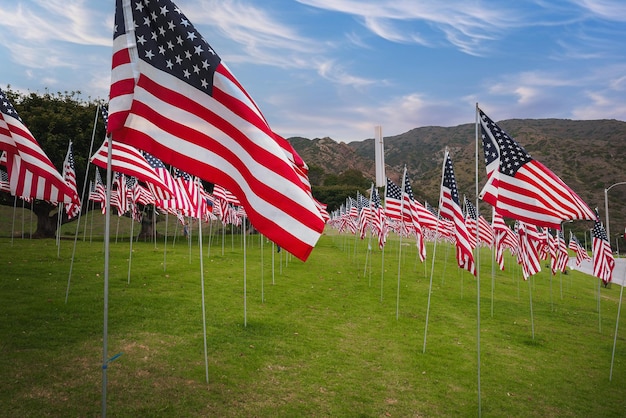 Las banderas estadounidenses en filas ordenadas en Green Hills, California.