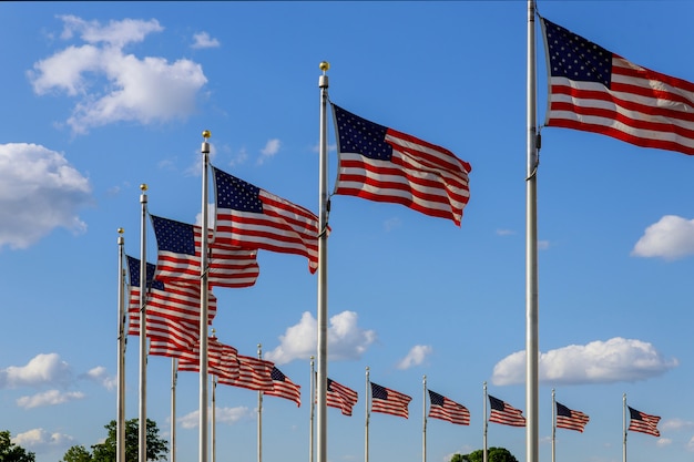 Banderas estadounidenses ondeando sobre el cielo azul cerca del Monumento a Washington, Washington DC