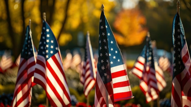 Las banderas estadounidenses revelan la unidad, la libertad y el orgullo nacional