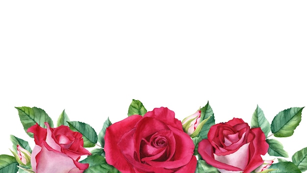 Foto banderas horizontales con bordes de rosas rojas, brotes y hojas, acuarela dibujada a mano, ilustración aislada en blanco para tarjetas, etiqueta de cartel de invitación.