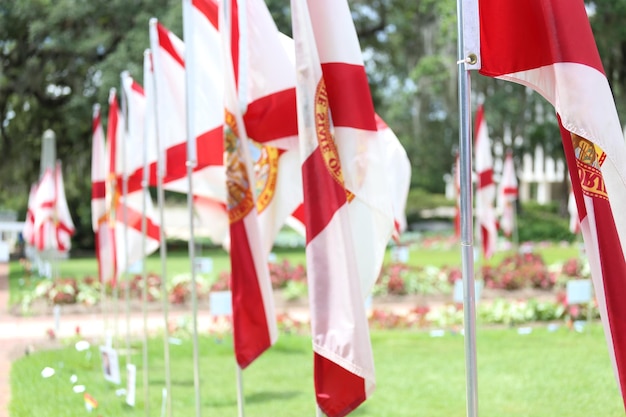 Foto banderas rojas en el campo