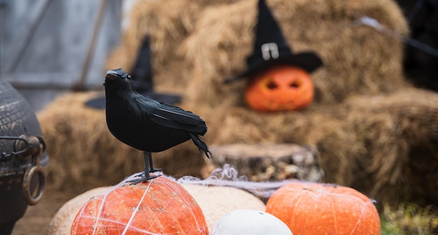Bando de abóboras laranja para o halloween crânio branco grande chapéu de feiticeiro de corvo preto jackolantern com olhos esculpidos assustadoresboca Pilha de feno no celeiroDecoração de ruaentretenimento para crianças horror