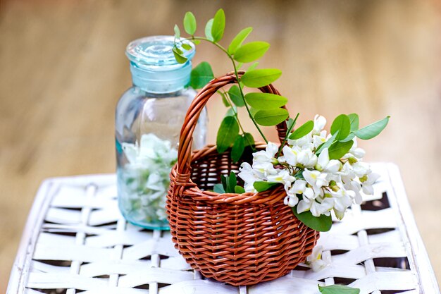 Bando de acácia em uma cesta de vime Coletando ingredientes para cosméticos naturais de gafanhoto preto