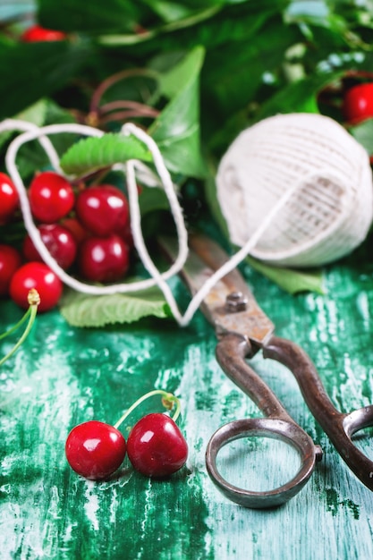 Bando de cerejeira com tesoura e linha