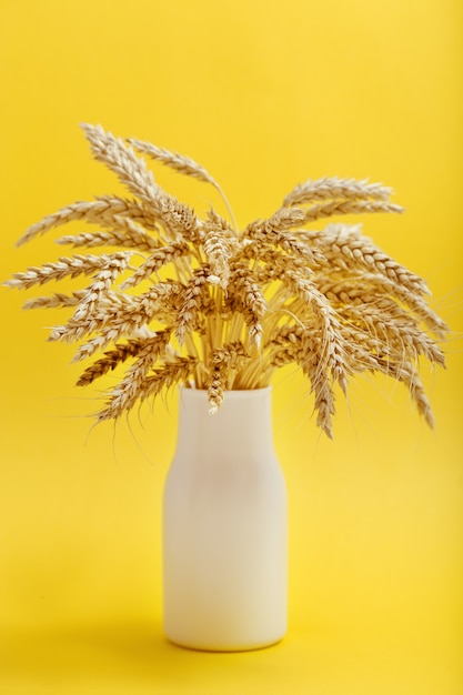 Foto bando de espigas de trigo em um vaso branco close-up em papel amarelo colheita de outono de safras de grãos