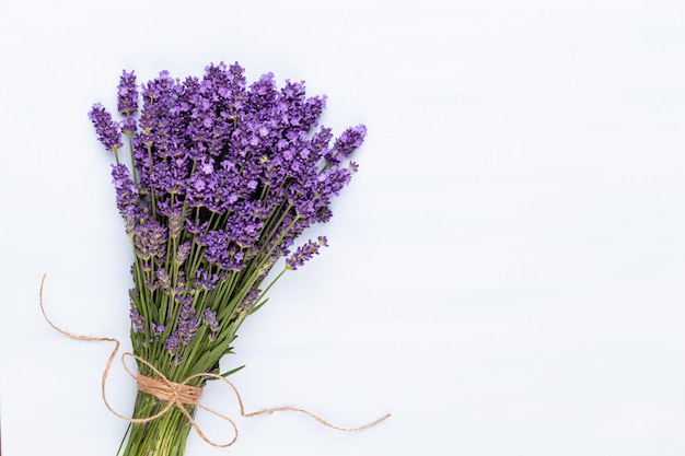 Bando de flores de lavanda amarrado isolado no fundo branco.