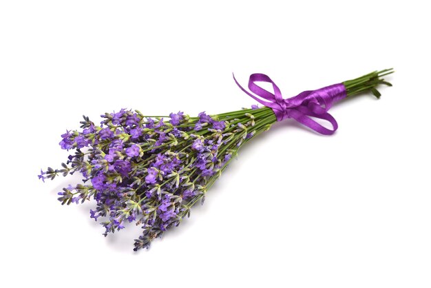 Bando de flores de lavanda com laço isolado em um fundo branco ervas médicas objeto de padrão de buquê floral vista superior plana leiga