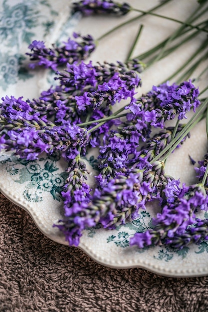 Bando de flores de lavanda