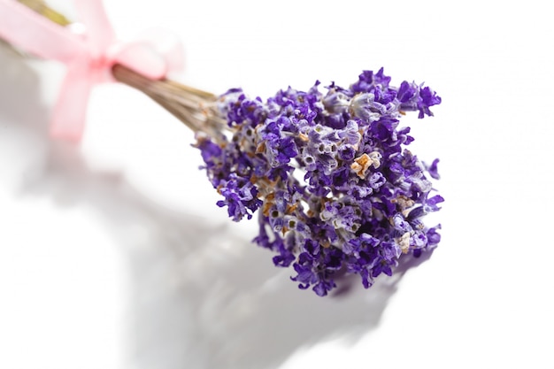 Bando de flores de lavanda