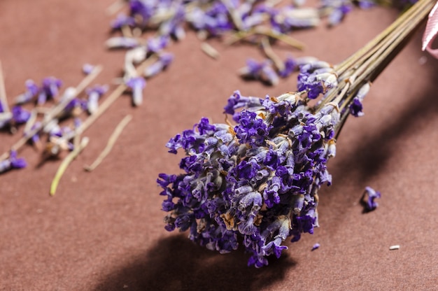 Bando de flores de lavanda