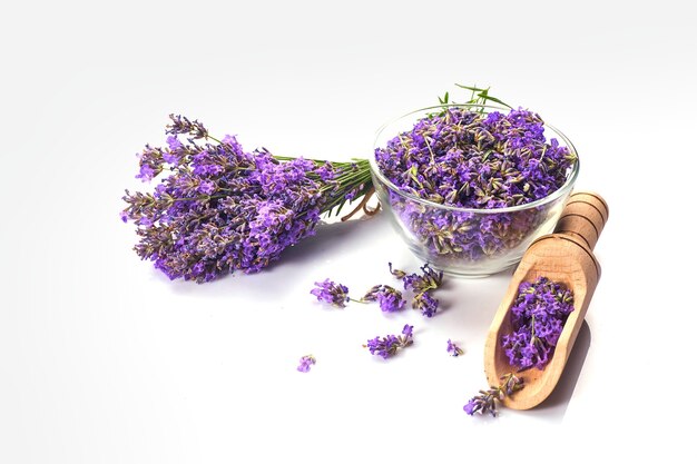 Bando de lavanda fresca e flores de lavanda em uma tigela de vidro. isolado no fundo branco.