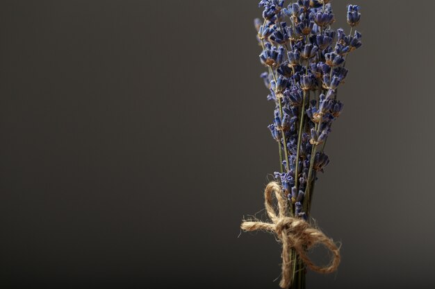 Bando de lavanda seca amarrada com corda close-up