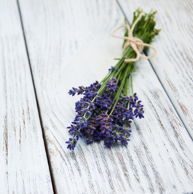 Bando de lavanda