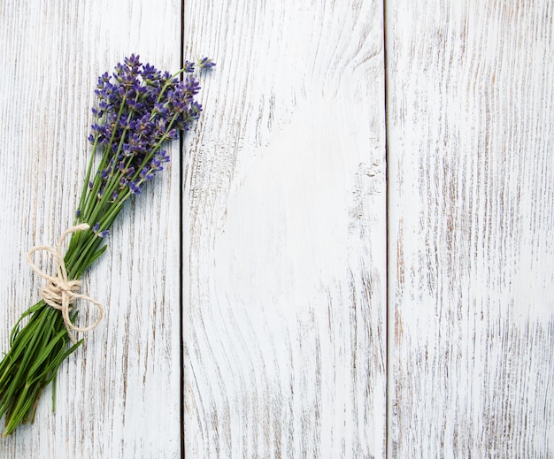 Bando de lavanda