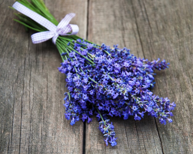 Bando de lavanda