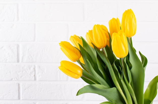 Bando de lindas tulipas amarelas contra uma parede de tijolos brancos o conceito da celebração