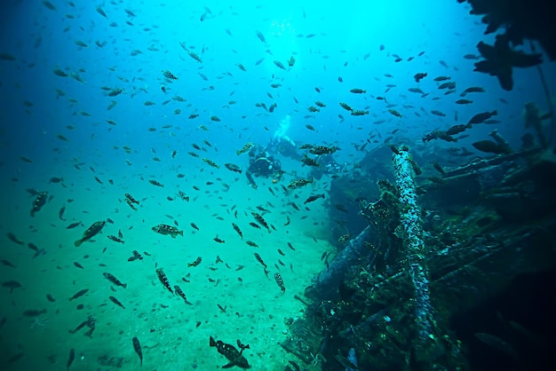 bando de peixes debaixo d'água