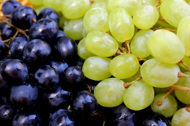 Bando de textura de uvas verdes e pretas frescas. fruta deliciosa, doce, suculenta, brilhante e com vitaminas.