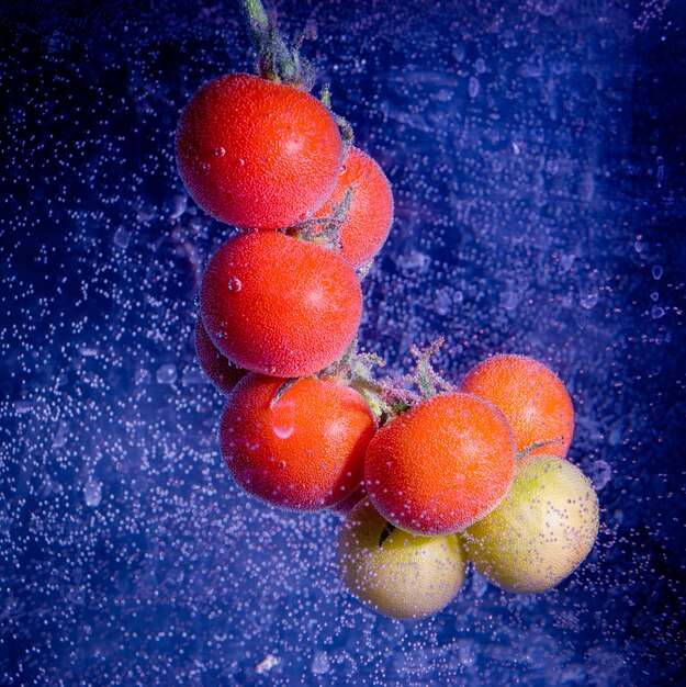 Bando de tomates cereja