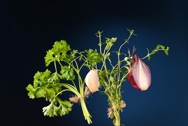 Foto bando de tomilho salsa e cebola roxa em um fundo escuro