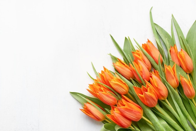 Bando de tulipas laranja brilhantes em um fundo branco dia das mães dia dos namorados conceito de aniversário