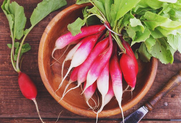 Bando de um rabanete vermelho jardim com folhas verdes