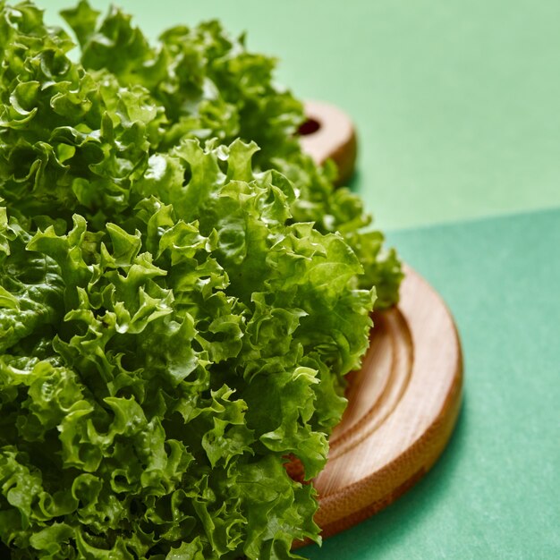 Foto bando recém-colhido de alface natural - ingredientes para cozinhar alimentos desintoxicantes naturais em um verde com lugar para texto. alimentos orgânicos vegetarianos.