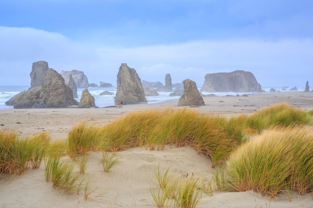 Bandon Beach Oregon State Parks USA