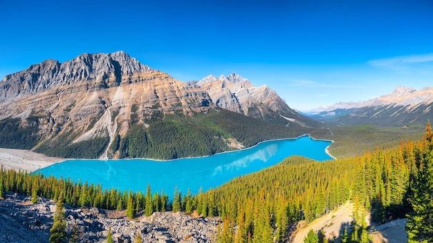 Banff-Nationalpark, Alberta, Kanada Ein riesiges Panorama des Lake Peyto Landschaft bei Tageslicht Ein See in einem Flusstal Berge und Wald Naturlandschaft